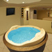 Lotus Suite